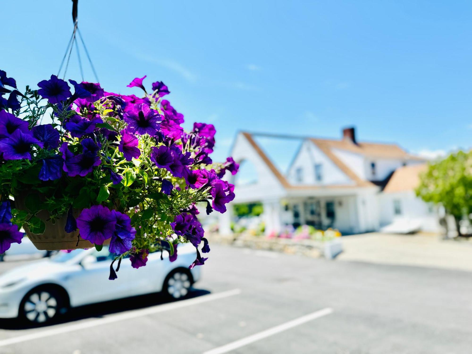Blue Spruce Plymouth Exterior foto